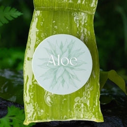 Chau ojeras! Parches de Aloe para ojeras y bolsas